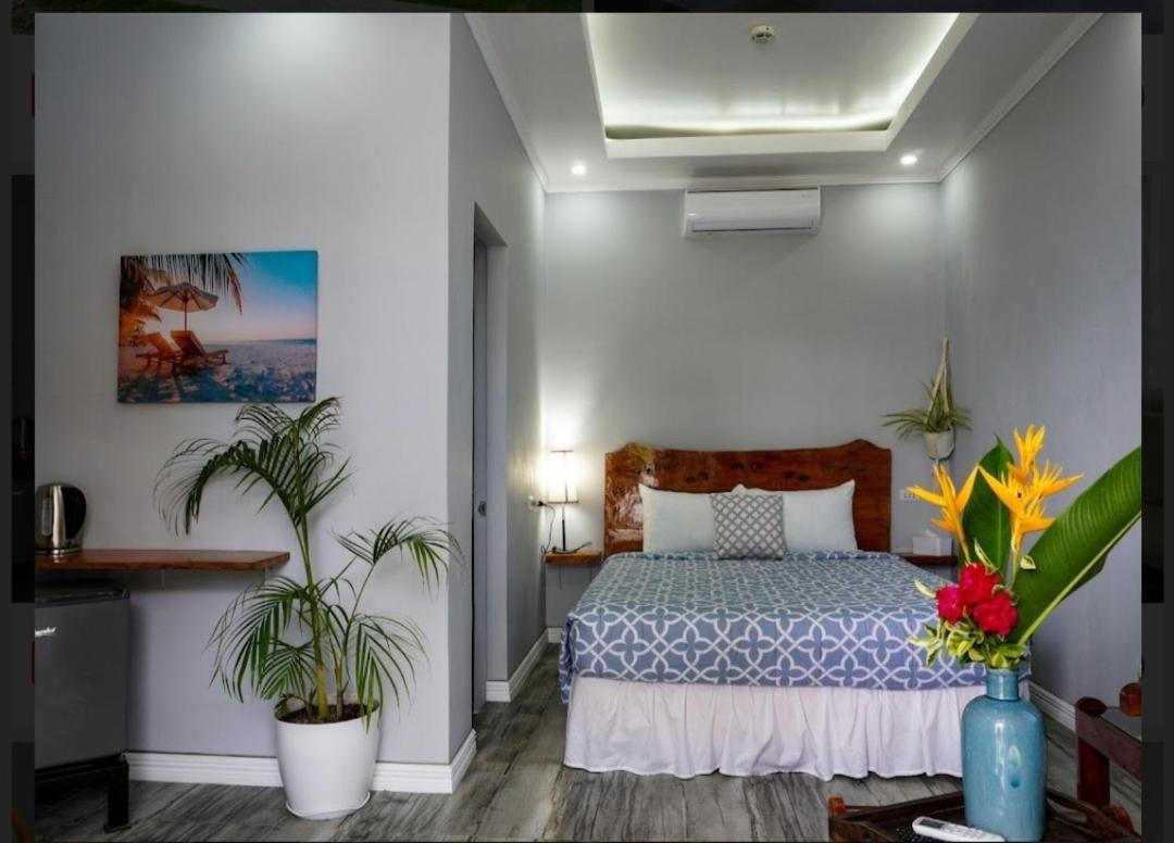 Palm View Moalboal Hotel Exterior photo